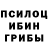 Псилоцибиновые грибы прущие грибы Vadim Dobysh