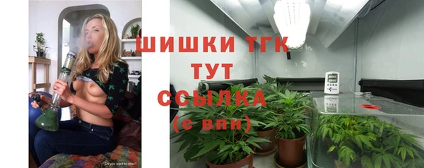 крисы Аркадак