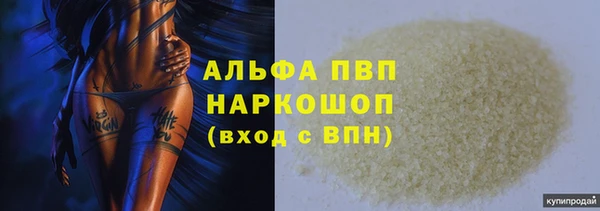 крисы Аркадак