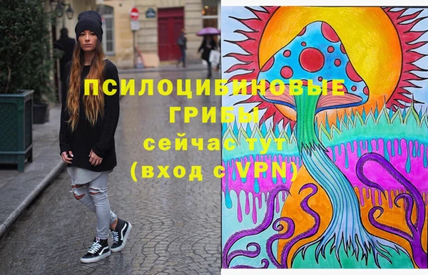 меф Арсеньев