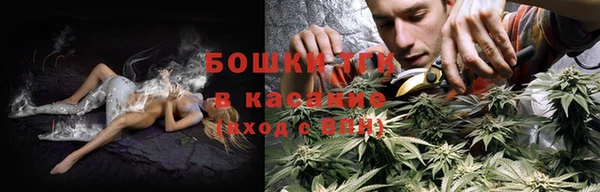 крисы Аркадак