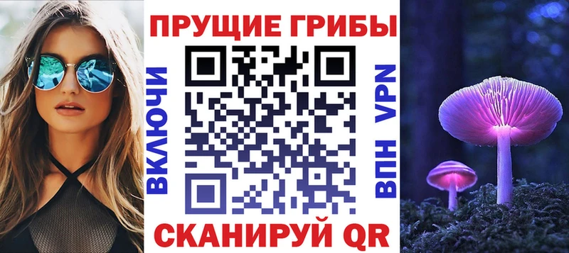 купить  цена  Армянск  Галлюциногенные грибы GOLDEN TEACHER 